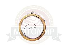 Пружина стартера 168F (НАБОР)